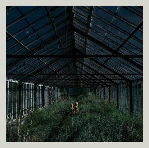 Transmission Review: Dealer by Foxing