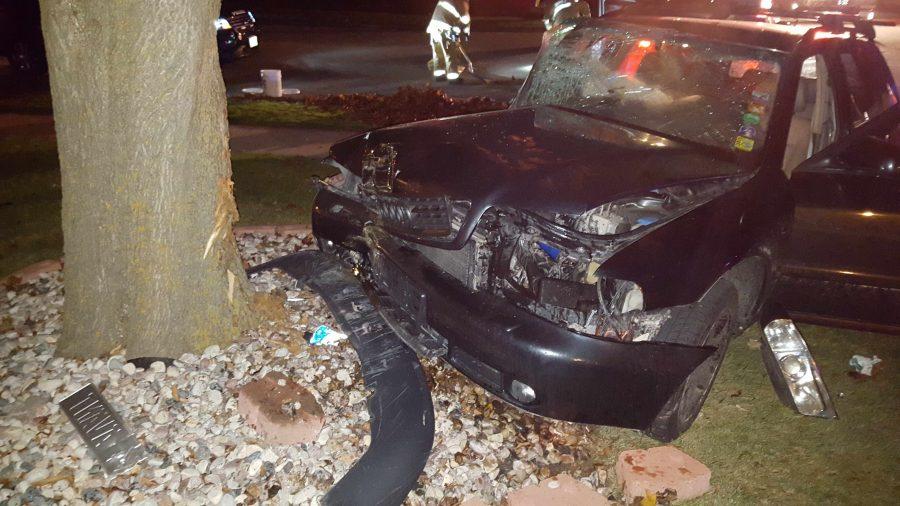 The drunk driver continues to hit the gas after smashing into Max, barreling into Max like a freight train until he is sandwiched into a tree.