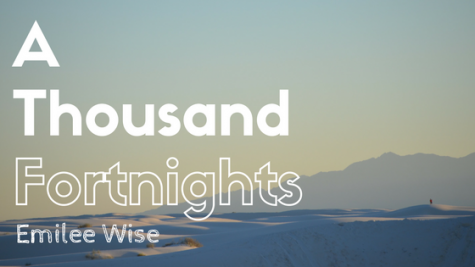 A Thousand Fortnights by Emilee Wise takes a twist on a classic folktale. 