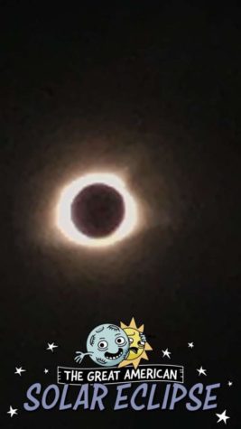 Internal Response to Total Solar Eclipse