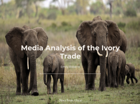 Media Analysis: Ivory Trade