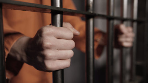 Column about Prison for Profit: America’s Discriminatory System