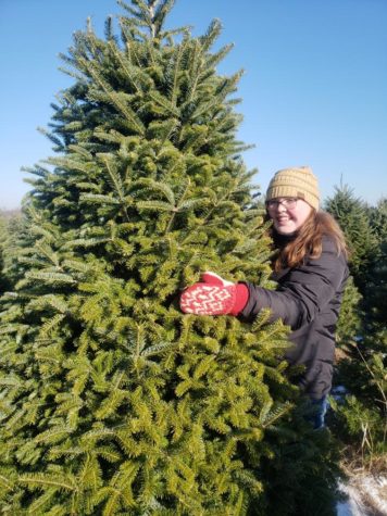Column: The Great Christmas Tree Controversy