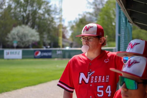 Photo Series: The Face of Baseball